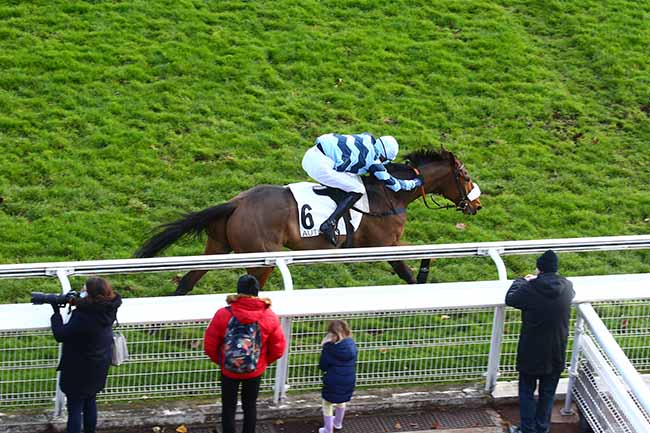 Photo d'arrivée de la course pmu PRIX OLRY ROEDERER à AUTEUIL le Dimanche 28 novembre 2021