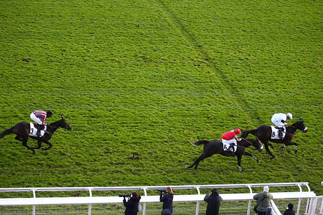 Photo d'arrivée de la course pmu PRIX FIFRELET à AUTEUIL le Dimanche 28 novembre 2021