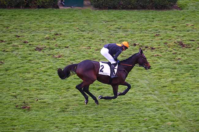 Photo d'arrivée de la course pmu PRIX JEAN LAUMAIN à AUTEUIL le Dimanche 28 novembre 2021