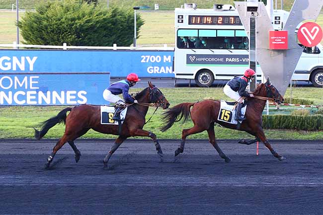Photo d'arrivée de la course pmu PRIX DE SANTIGNY à PARIS-VINCENNES le Lundi 29 novembre 2021