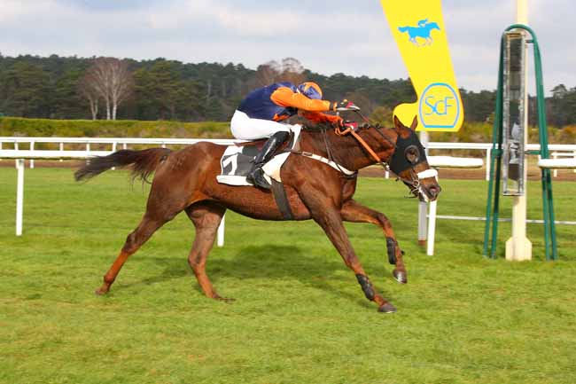 Photo d'arrivée de la course pmu PRIX DES GRANDS FEUILLARDS à FONTAINEBLEAU le Lundi 29 novembre 2021