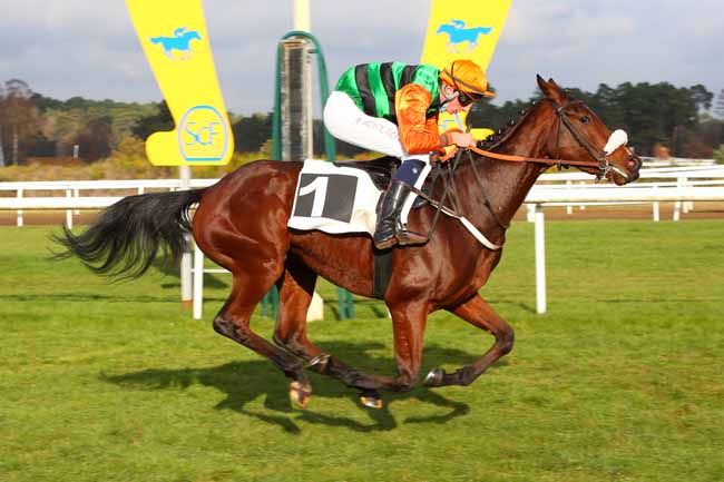 Photo d'arrivée de la course pmu PRIX RICHARD D'AYGUEVIVES à FONTAINEBLEAU le Lundi 29 novembre 2021