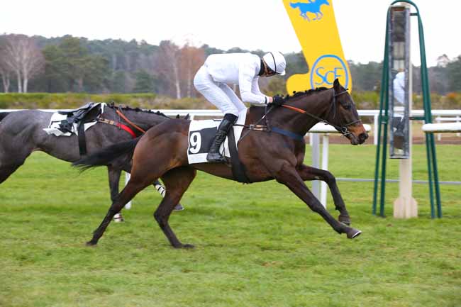 Photo d'arrivée de la course pmu PRIX HAPPY HOTELS (PRIX PIERRE DEBROISE) à FONTAINEBLEAU le Lundi 29 novembre 2021
