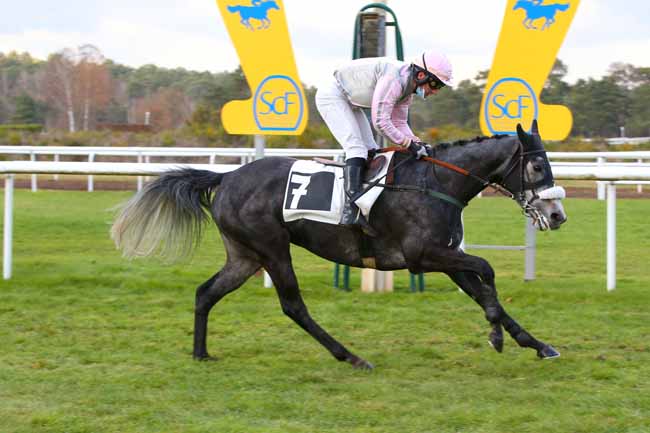 Photo d'arrivée de la course pmu PRIX DE LA VILLE D'AVON à FONTAINEBLEAU le Lundi 29 novembre 2021
