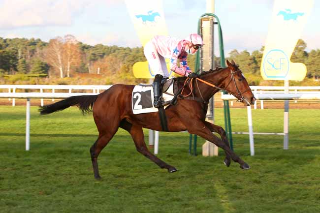 Photo d'arrivée de la course pmu PRIX BARON MAURICE DE NEXON à FONTAINEBLEAU le Lundi 29 novembre 2021