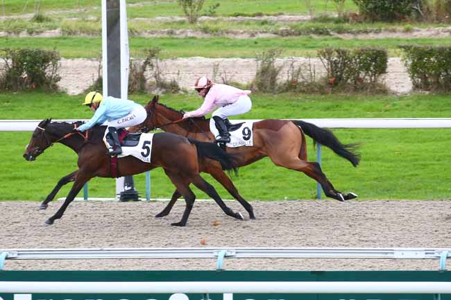 Photo d'arrivée de la course pmu PRIX DE PREAUX à DEAUVILLE le Mardi 30 novembre 2021