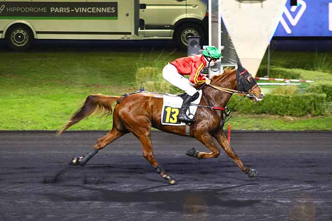 Photo d'arrivée de la course pmu PRIX DE FERRIERES à PARIS-VINCENNES le Mardi 30 novembre 2021