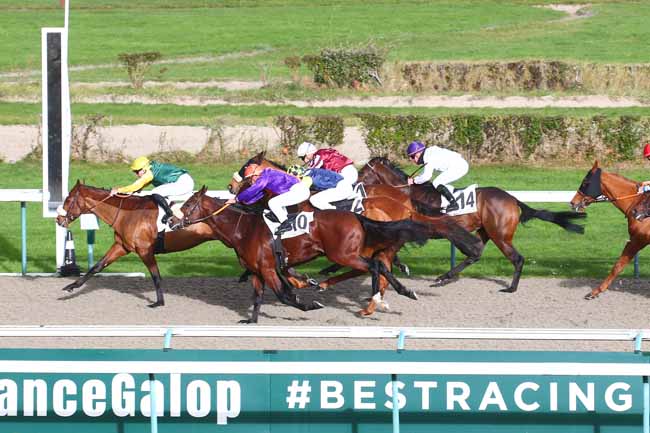 Photo d'arrivée de la course pmu PRIX DE SAINTE-MERE-EGLISE à DEAUVILLE le Mercredi 1 décembre 2021
