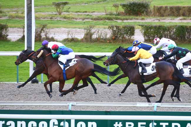 Photo d'arrivée de la course pmu PRIX DE POTIGNY à DEAUVILLE le Mercredi 1 décembre 2021