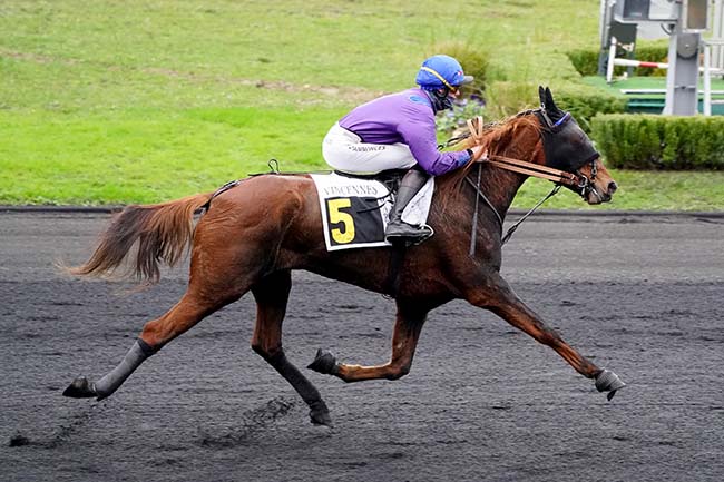 Photo d'arrivée de la course pmu PRIX DE BRICQUEBEC à PARIS-VINCENNES le Lundi 6 décembre 2021