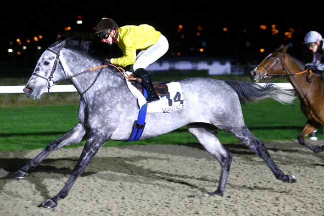 Photo d'arrivée de la course pmu PRIX TRANSMO FREIGHT SERVICES à LAUNCESTON le Mercredi 8 décembre 2021