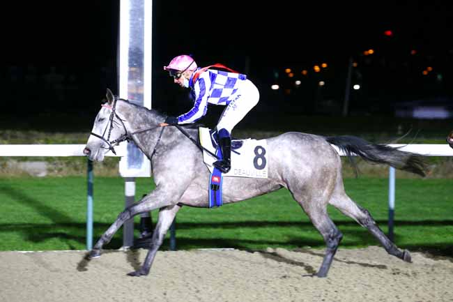 Photo d'arrivée de la course pmu PRIX TRANSMO TASMANIA MAIDEN à LAUNCESTON le Mercredi 8 décembre 2021