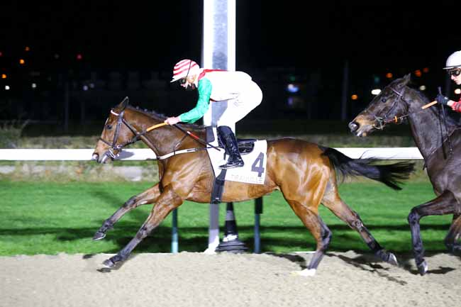 Photo d'arrivée de la course pmu PRIX GORGE SCENIC CHAIRLIFT BM76 HCP à LAUNCESTON le Mercredi 8 décembre 2021