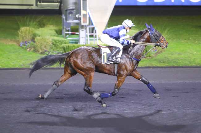 Photo d'arrivée de la course pmu PRIX URGENT à PARIS-VINCENNES le Samedi 11 décembre 2021
