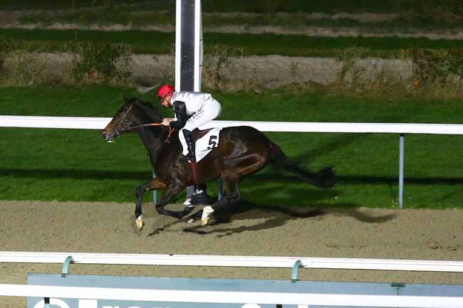 Photo d'arrivée de la course pmu PRIX VODKATO à DEAUVILLE le Samedi 11 décembre 2021