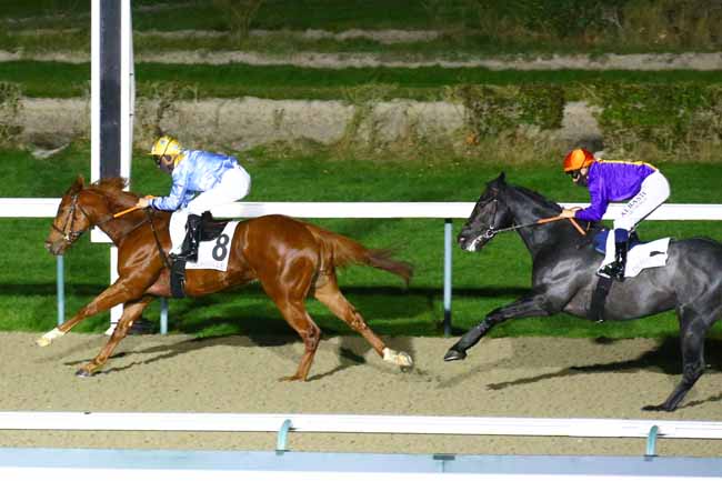 Photo d'arrivée de la course pmu PRIX DE KILDARE à DEAUVILLE le Dimanche 12 décembre 2021