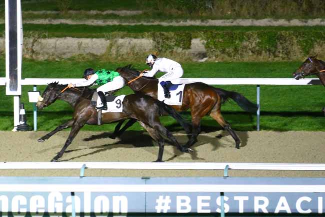 Photo d'arrivée de la course pmu PRIX DE ROIVILLE à DEAUVILLE le Dimanche 12 décembre 2021