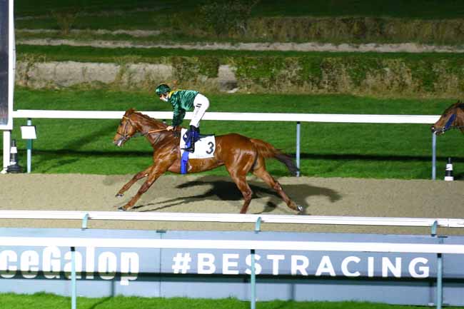 Photo d'arrivée de la course pmu PRIX DU VAL HENRY à DEAUVILLE le Dimanche 12 décembre 2021