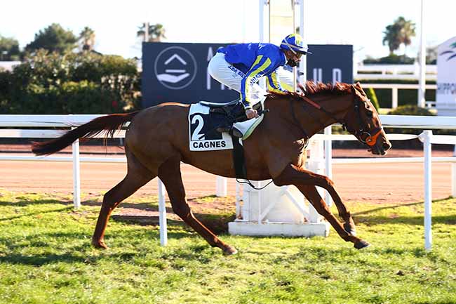 Photo d'arrivée de la course pmu PRIX DU MONT FALOURDE à CAGNES-SUR-MER le Lundi 13 décembre 2021