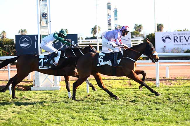 Photo d'arrivée de la course pmu PRIX DU COL DE FENESTRE à CAGNES-SUR-MER le Lundi 13 décembre 2021