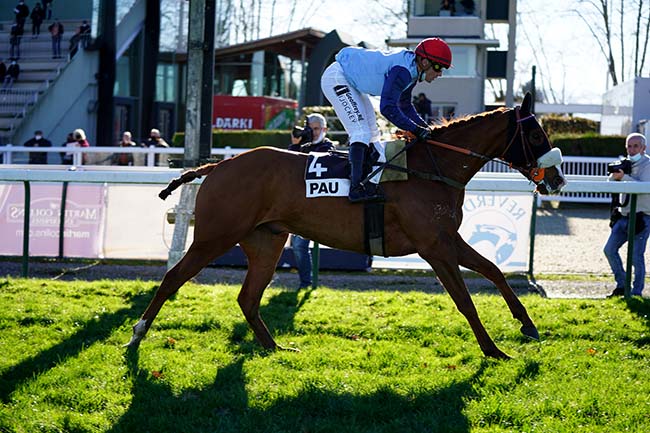 Photo d'arrivée de la course pmu PRIX BIRABEN FOIE GRAS (PRIX GEORGES PASTRE) à PAU le Mardi 14 décembre 2021