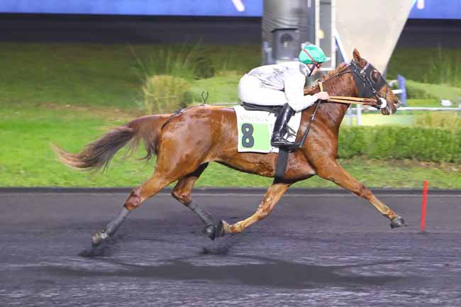 Photo d'arrivée de la course pmu PRIX DE LANGEAC à PARIS-VINCENNES le Mardi 14 décembre 2021