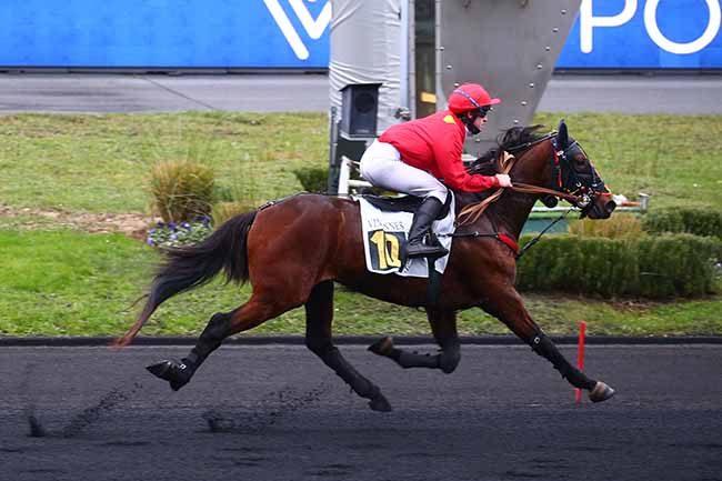 Photo d'arrivée de la course pmu PRIX DE GEX à PARIS-VINCENNES le Mercredi 15 décembre 2021