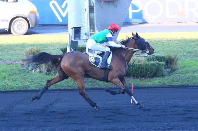 Photo d'arrivée de la course pmu PRIX DE VILLEROY à PARIS-VINCENNES le Samedi 18 décembre 2021