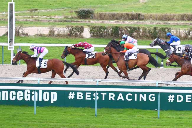 Photo d'arrivée de la course pmu PRIX DU MONT-SAINT-MICHEL à DEAUVILLE le Lundi 20 décembre 2021
