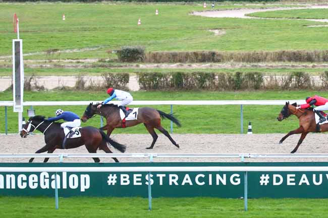 Photo d'arrivée de la course pmu PRIX DE LA MAISON DE LA TRUIE QUI FILE à DEAUVILLE le Lundi 20 décembre 2021