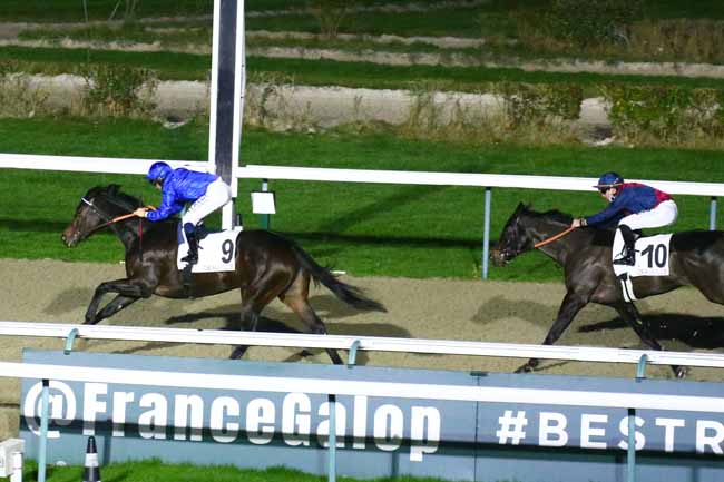 Photo d'arrivée de la course pmu PRIX MISS SATAMIXA - FONDS EUROPEEN DE L'ELEVAGE à DEAUVILLE le Lundi 20 décembre 2021