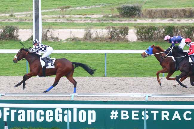 Photo d'arrivée de la course pmu PRIX DE DANESTAL à DEAUVILLE le Jeudi 23 décembre 2021