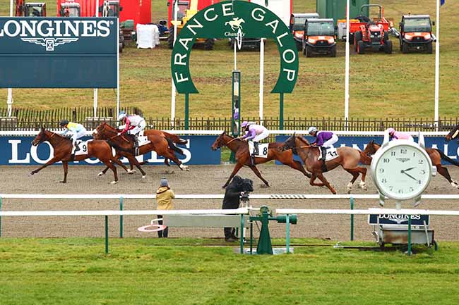 Photo d'arrivée de la course pmu PRIX DU CARREFOUR DES BOULEAUX à CHANTILLY le Dimanche 26 décembre 2021