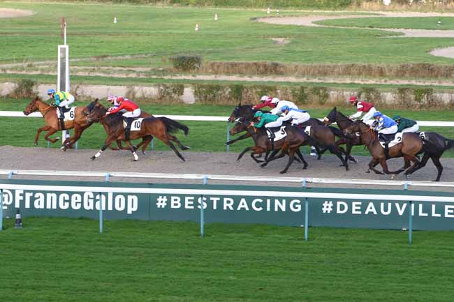 Photo d'arrivée de la course pmu PRIX DU BELVEDERE DES AVALOIRS à DEAUVILLE le Lundi 27 décembre 2021