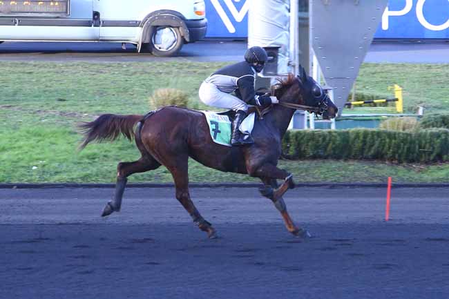 Photo d'arrivée de la course pmu PRIX DE COLLIOURE à PARIS-VINCENNES le Mardi 28 décembre 2021