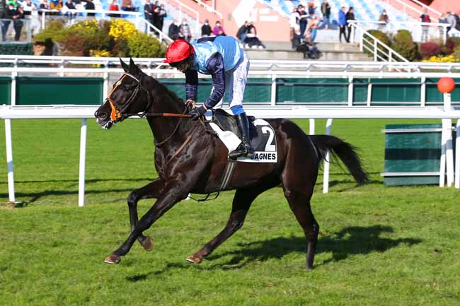 Photo d'arrivée de la course pmu PRIX GOODEA à CAGNES-SUR-MER le Mercredi 29 décembre 2021