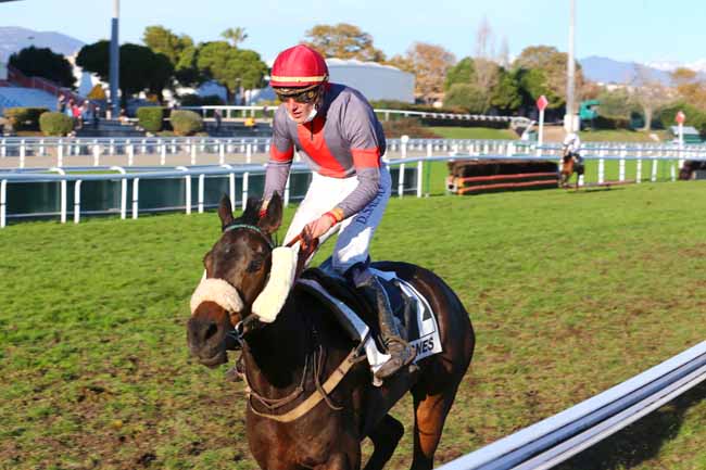 Photo d'arrivée de la course pmu PRIX DES PAYS DE LOIRE à CAGNES-SUR-MER le Mercredi 29 décembre 2021