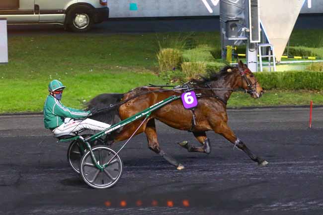 Photo d'arrivée de la course pmu PRIX DE TENCE à PARIS-VINCENNES le Dimanche 2 janvier 2022