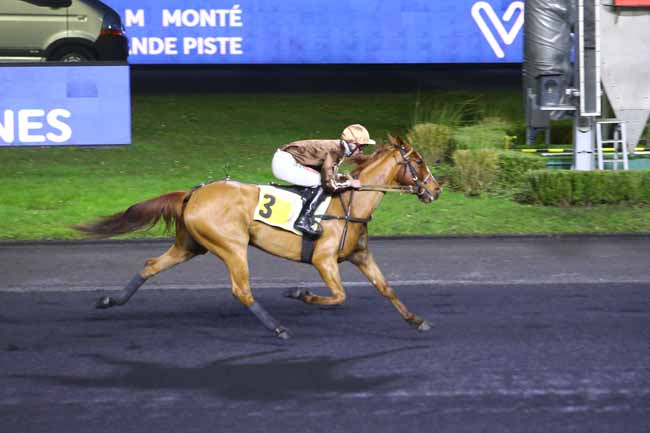 Photo d'arrivée de la course pmu PRIX DE NORT SUR ERDRE à PARIS-VINCENNES le Mardi 4 janvier 2022