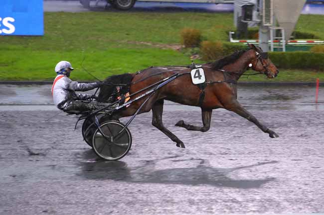 Photo d'arrivée de la course pmu PRIX DE VIC SUR CERE à PARIS-VINCENNES le Samedi 8 janvier 2022