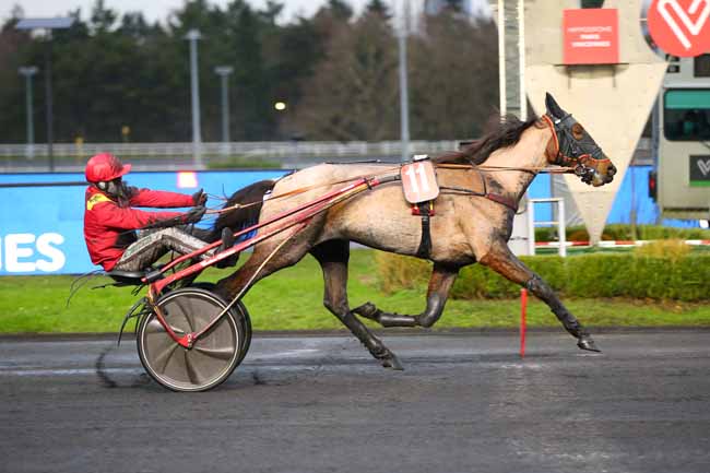 Photo d'arrivée de la course pmu PRIX GELINOTTE à PARIS-VINCENNES le Samedi 8 janvier 2022