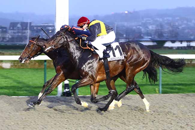 Photo d'arrivée de la course pmu PRIX DE LA GARE DE POINTE-NOIRE à DEAUVILLE le Samedi 8 janvier 2022