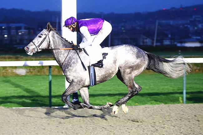 Photo d'arrivée de la course pmu PRIX DE LA BEAUVOISINIERE à DEAUVILLE le Samedi 8 janvier 2022
