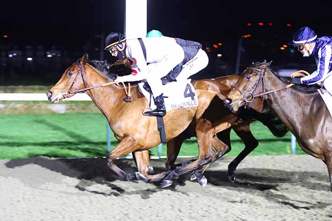 Photo d'arrivée de la course pmu PRIX DE LA GARE DE DALAT à DEAUVILLE le Samedi 8 janvier 2022