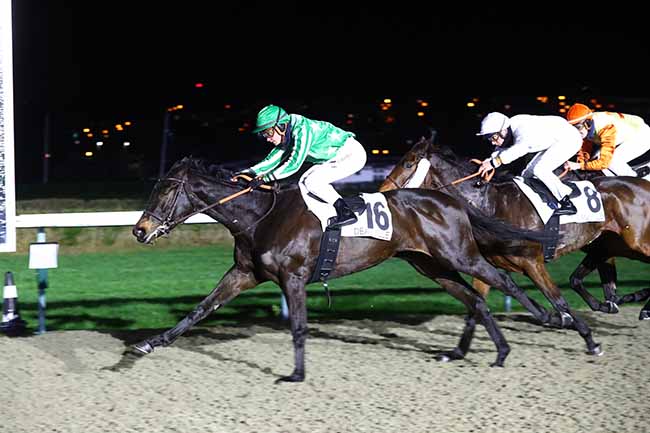 Photo d'arrivée de la course pmu PRIX DE LA SEULLES à DEAUVILLE le Samedi 8 janvier 2022