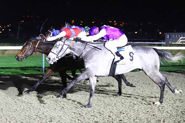 Photo d'arrivée de la course pmu PRIX DE LA SEULLETTE à DEAUVILLE le Samedi 8 janvier 2022