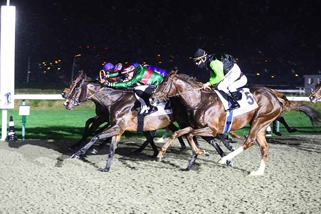 Photo d'arrivée de la course pmu PRIX DE CRENNES à DEAUVILLE le Samedi 8 janvier 2022
