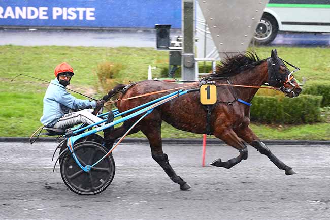 Photo d'arrivée de la course pmu PRIX DE BELLEGARDE à PARIS-VINCENNES le Dimanche 9 janvier 2022