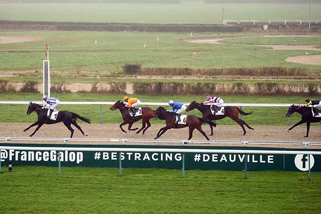 Photo d'arrivée de la course pmu PRIX DE BENERVILLE à DEAUVILLE le Mercredi 12 janvier 2022