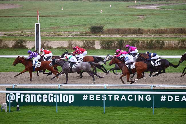 Photo d'arrivée de la course pmu PRIX DU PAYS D'OUCHE à DEAUVILLE le Mercredi 12 janvier 2022